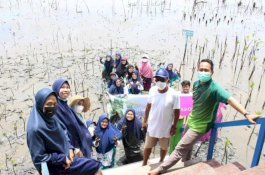 Hari Ozon Sedunia, Spidi Tanam Ratusan Mangrove