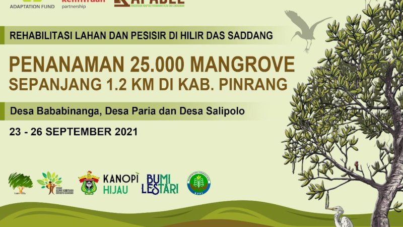 Empat Hari, Kapabel Akan Tanam 25.000 Bibit Mangrove di Hilir DAS Saddang Pinrang