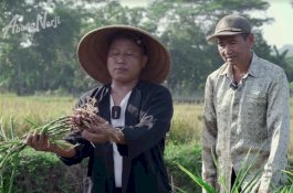 Ini Tips dari Narji agar Petani Milenial Berjaya di Bisnis Pertanian
