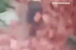Mengharukan, Video Ini Menunjukkan Betapa Pentingnya Seorang Ibu di Dunia