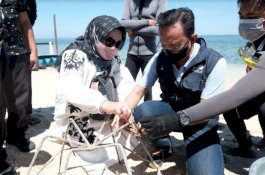 PLN Sulselrabar Serahkan Bantuan Rp149 Juta untuk Transplantasi Terumbu Karang di Pulau Samalona