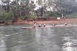 Jembatan Rusak Viral di Desa Belawae, Sekda Sidrap: Desainnya Sudah Siap