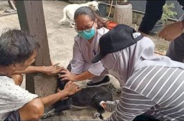 Hari Rabies Sedunia, Pemkot Parepare Vaksinasi Hewan Peliharaan secara Mobile