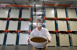 Satu Keluarga di Amerika Serikat Ubah Jenazah Menjadi Pupuk