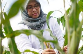 Legislator DPRD Gowa Harap Industri Pariwisata Ditingkatkan
