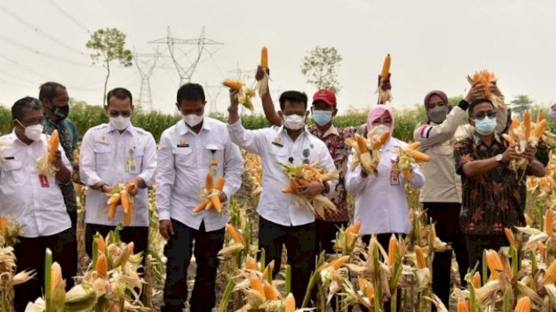 Menteri Pertanian (Mentan), Syahrul Yasin Limpo (SYL), pada acara panen jagung nusantara di Desa Banjarsari, Kecamatan Kradenan, Kabupaten Grobogan, Jawa Tengah, Rabu (29/9/2021).