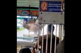 Kaca Depan Bus Dipecahkan Gajah, Ketenangan Sopir Ini Selamatkan Penumpang yang Panik