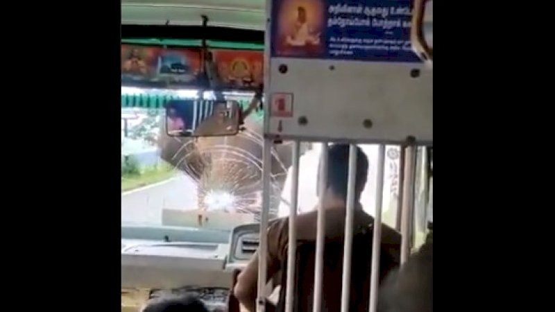 Kaca Depan Bus Dipecahkan Gajah, Ketenangan Sopir Ini Selamatkan Penumpang yang Panik