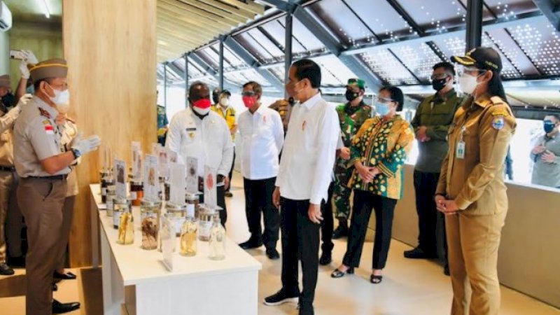 Resmikan PLBN Sota, Presiden Jokowi Tinjau Komoditas Pertanian Unggulan Ekspor Papua