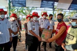Panen Raya Demplot Dambaan, Bupati Wajo Serahkan Bantuan Bibit Padi