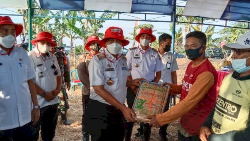 Panen Raya Demplot Dambaan, Bupati Wajo Serahkan Bantuan Bibit Padi