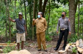 Bupati Sidrap Libatkan Akademisi Unhas Kembangkan Budi Daya Lebah Tanpa Sengat