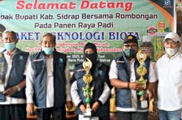 Bupati Sidrap Hadiri Panen Raya Padi Paket Teknologi Biota