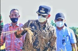 Jadi Program Unggulan, Bupati Wajo Dorong Petani Kembangkan Pertanian Terpadu