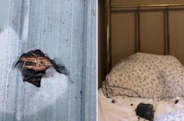 Wanita Lolos dari Kematian Setelah Meteorit Mendarat di Bantalnya saat Sedang Tidur