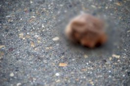 Baru Sehari Menjabat, Kepala Polisi Terima Paket Berisi Kepala dari Kartel Narkoba