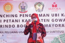 Tingkatkan Kesejahteraan Petani, Pemkab Gowa Optimalkan Peluang Ekspor Komoditas Pertanian