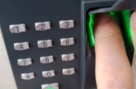 Begini Cara Memantau Kinerja Karyawan Walau Kerja dari Rumah