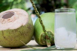 Benarkah Air Kelapa Bisa Keluarkan Batu Ginjal? Ini Penjelasan Dokter Spesialis Urologi RS Siloam Makassar
