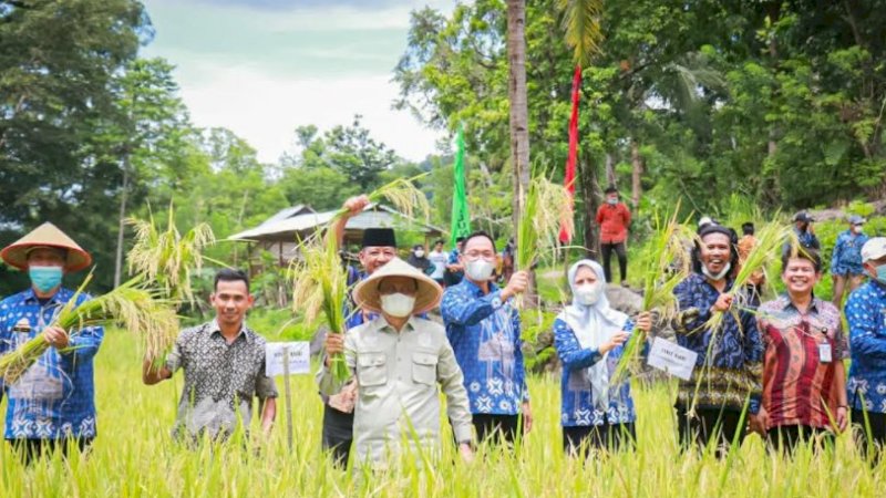 Bupati Barru Bersyukur Sektor Pertanian Terus Meningkat