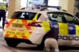 Polisi Sedang Ambil Makanan, Pria Iseng Ini Merangkak untuk Kempiskan Ban Mobilnya