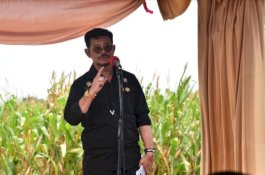 Mentan SYL Bangun Kawasan Jagung 1.200 Hektare di Gowa, Bupati Adnan Mengaku Dapat Bantuan Rp59 Miliar