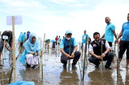 Aksi Tanam Pohon Partai Gelora Sulsel Dimulai dari Sinjai
