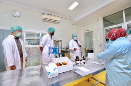 Gowa Disiapkan Jadi Daerah Penyedia Bahan Baku Obat Tradisional