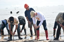 Sekda Palopo Ajak Warga Pesisir Tanam Pohon Bakau