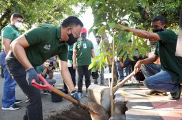 Bupati Bantaeng Serukan Gerakan Tanam Pohon
