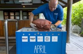 Seekor Penyu Luka Parah akibat Terjaring Kantong Plastik, Diterbangkan 8.000 Kilometer untuk Diobati