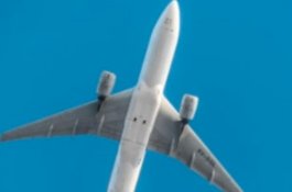 Dikira Bayi, Perempuan Ini Ternyata Menyusui Kucing dalam Penerbangan