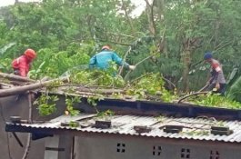 Cuaca Ekstrem, TP Minta Unit Bantuan Bersiaga