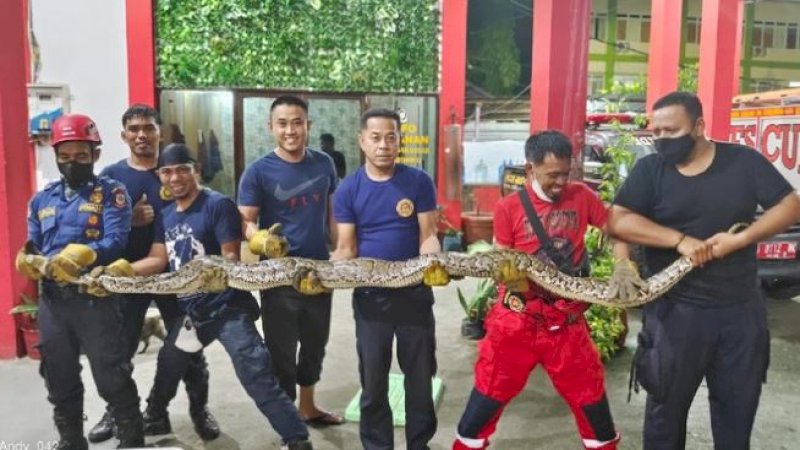 Foto: Dinas Pemadam Kebakaran (Damkar) Kota Makassar.