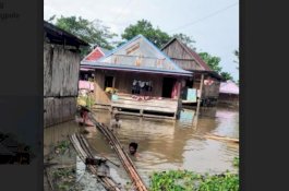 Banjir Rendam 4 Kecamatan di Wajo, Ribuan Rumah Warga Terdampak