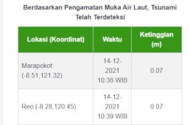 Alhamdulillah, BMKG Sebut Gelombang Tsunami yang Terjadi Tidak Sampai Semeter