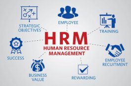 Apa Itu HRM? Mengenal Fungsi dan Rekomendasi Aplikasi Terbaiknya