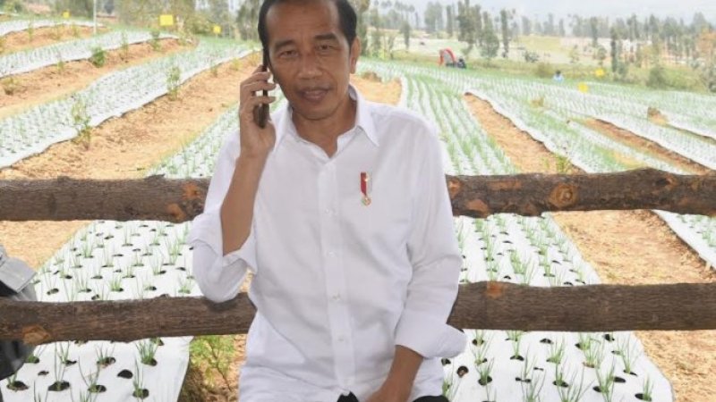 Ditelepon Langsung Jokowi Terkait Impor Bawang, Mendag Jawab Begini