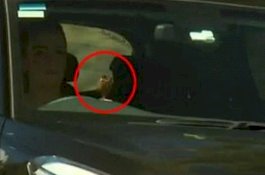 Wanita Didenda karena Dianggap Main Ponsel saat Nyetir, Ternyata Sedang Makan Es Krim