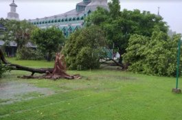 Angin Kencang, Pohon di Halaman Masjid Al Markaz Makassar Tumbang, Beberapa Fasilitas Rusak