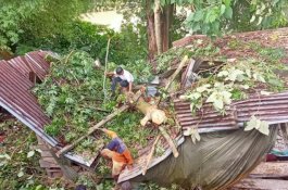 Rumah Tertimpa Pohon, Warga Sinjai Dapat Bantuan dari Kantong Pribadi Plt Gubernur Sulsel