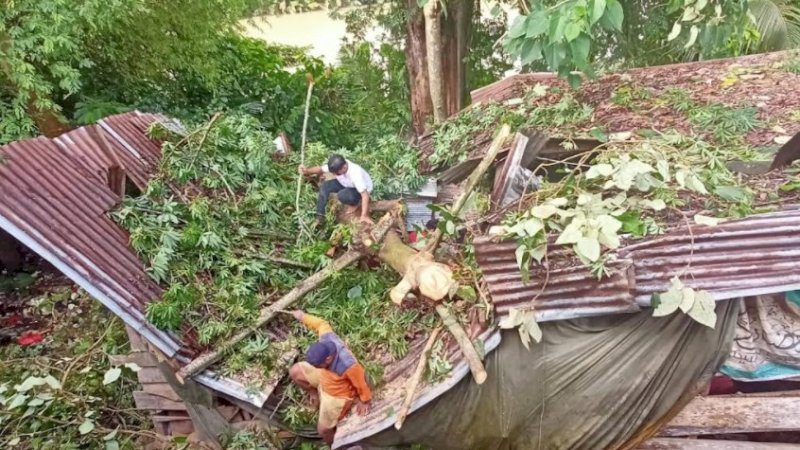 Rumah Tertimpa Pohon, Warga Sinjai Dapat Bantuan dari Kantong Pribadi Plt Gubernur Sulsel