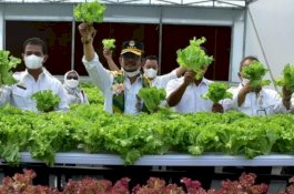 Mentan SYL Bangun Screen House Genjot Produksi Sayuran Tembus Pasar Modern dan Ekspor