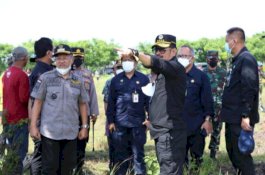 Ke Jeneponto, Mentan SYL Pastikan Pertanaman Jagung dalam Kondisi Bagus