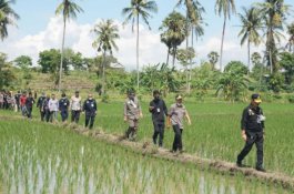 Dukung Penuh Sektor Pertanian, Bupati Jeneponto Berterima Kasih ke Mentan SYL