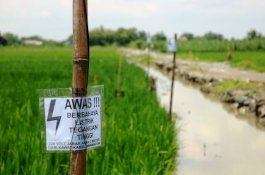 23 Warga  di Jawa Tengah Meninggal akibat Jebakan Tikus Beraliran Listrik