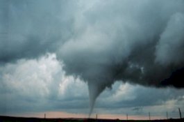 Warga Ceritakan Suasana Mencekam saat Angin Puting Beliung Terjang Luwu: Berwarna Hitam dan Puith, Terbelah, lalu Menyatu Kembali