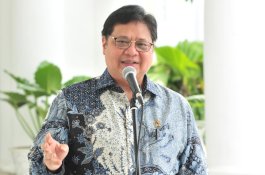 Menko Perekonomian Pastikan Penanaman Sorgum Dilakukan Maksimal