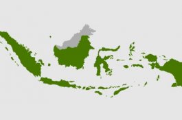 Respons Media Internasional Soal Nusantara Jadi Ibu Kota Baru Indonesia