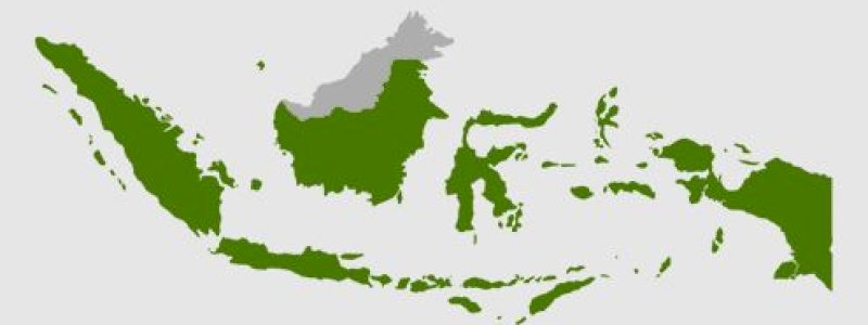 Respons Media Internasional Soal Nusantara Jadi Ibu Kota Baru Indonesia